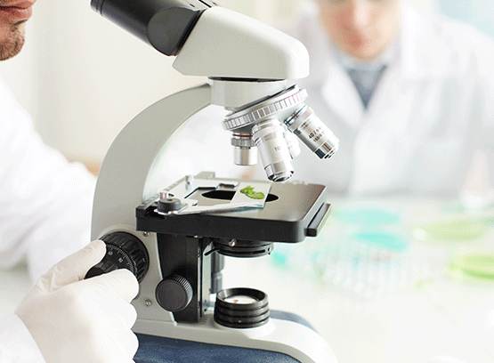 高新技术企业培育入库